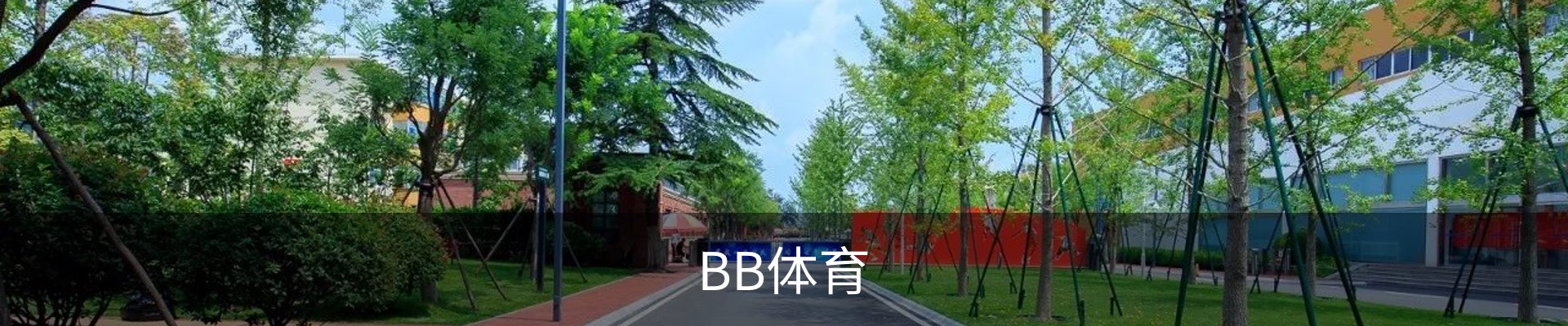BB体育